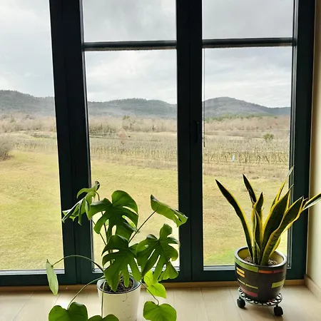 Private For 12 Peaceful Karst Escape Dutovlje