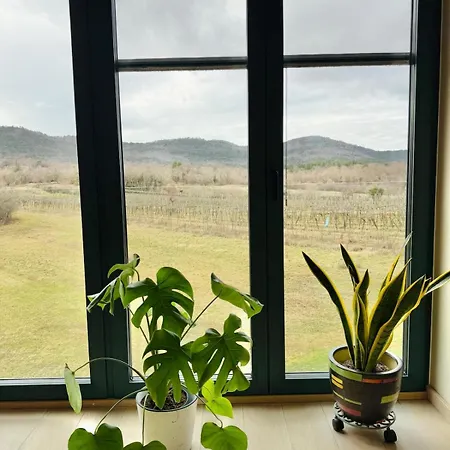 Villa Private For 12 Peaceful Karst Escape Dutovlje